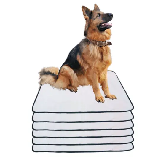 Kit 6 Tapetes Internos Lavável Para Cães - Casa Sem Xixi 80x60