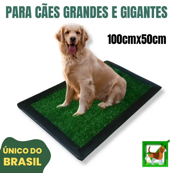 Sanitário Canino Grande Tapete Higiênico Para Cães 100cmx50cm Xixi Dog Grama Lavável Pet