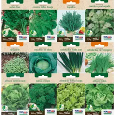 10 Pacotinhos Sortidos de Sementes de Verdura Horta Folhas Verdes Jardim Jardinagem Muda