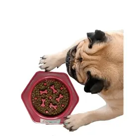 Comedouro Educativo Lento Interativo Anti Stress Pet para Cachorro - 600ml