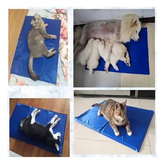 Tapete Gelado para Cachorro e Gato Conforto Instantâneo no Calor Pvc e Gel Pet Feliz Cães e Gatos