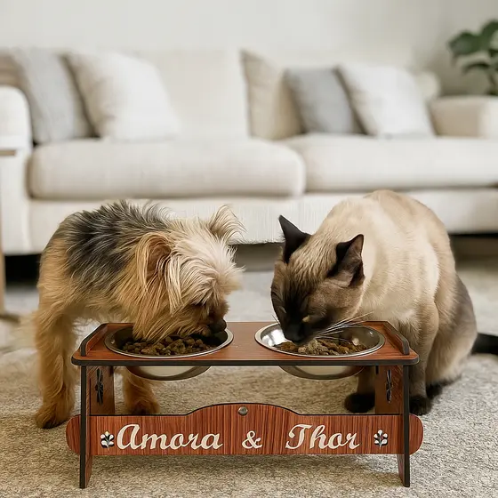 Comedouro PERSONALIZADO inclinável com TAMPAS Pet Cão e Gato Pet