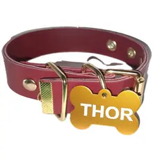 Coleira para cachorro personalizado Nome e Telefone Gravado