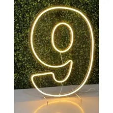 Número Led Neon 50cm de 0 ao 9 Acrílico Aniversários- 6 unidades