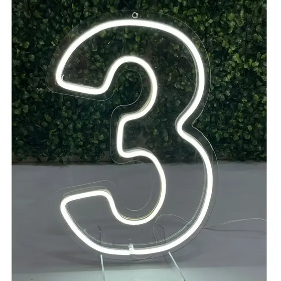 Placa Luminoso Neon Números 0 a 9 30cm Altura-1 unidade