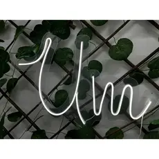 Painel Led Neon Personalizado UM para decoração p/Decoração 40x25