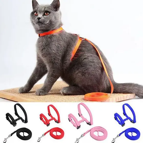 Peitoral Com Guia Para Gatos Pet Ajustável-Cores Sortidas