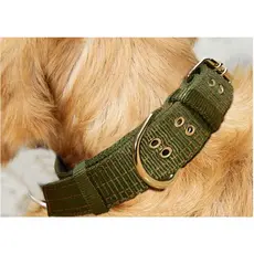 Coleira Nylon Dupla Grande Porte Para Cachorros Pit Bull e Raças Grandes Fita