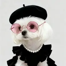 Óculos para Pets/Óculos de Sol para Cachorro/Óculos De Sol Para Gatos Cachorro Teddy Personalidade Excêntrica