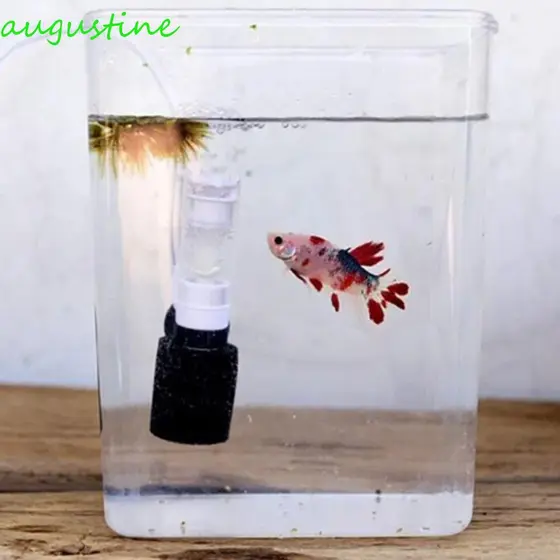 Purificador De Água Para Aquário AUGUSTINE , Mini Filtro Prático Tanque De Peixes , Bombas De Esponja Ultrassilenciosas
