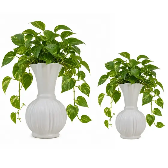 Vaso de Plantas Flores Minimalista Branco Moderno Para Decoração - Castela