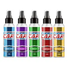 Aromatizante Cheirinho Spray para Carro Automotivo Qualidade Aroma Concentrado 100ml