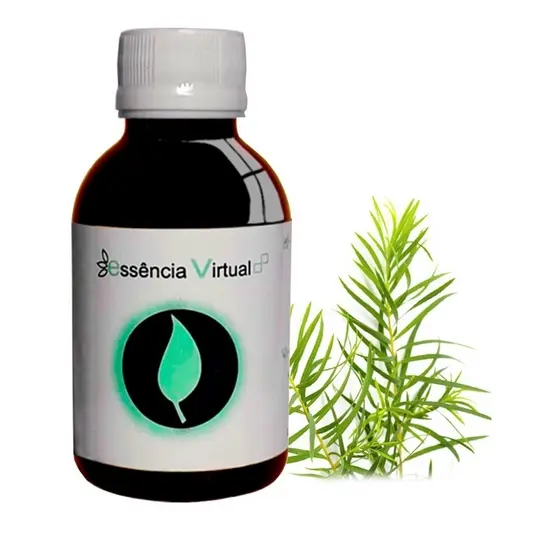 Essência Melaleuca - 100ml - Óleo | Essência Virtual