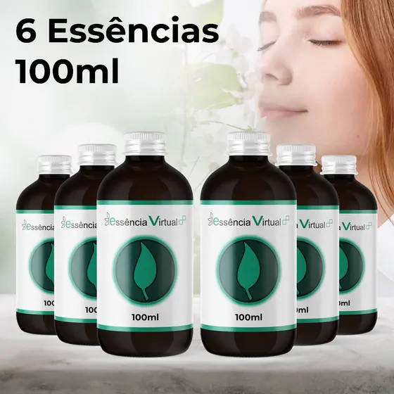 Essência 100ml - Caixa Com 6 Unidades - Essência Virtual