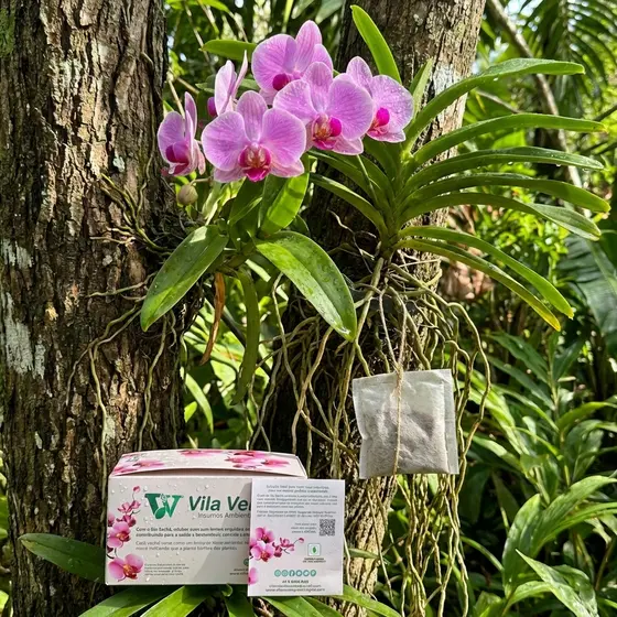Bio Sachê Fertilizante Orgânico para Orquídeas Vila Verde caixa com 10 unidades
