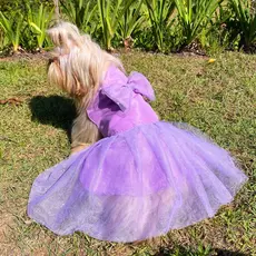 Vestido Para Cachorro Femea Encantado Gaby Pet Roupa com Tule e Glitter Brilhante Pequenos e Médios Roupa de Festa