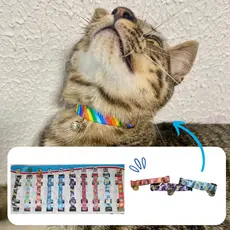Coleira para Gato Gaby Pet Cartela Elástico Simples- Unidade ou Cartela com 10 (Cores e estampas Sortidas)