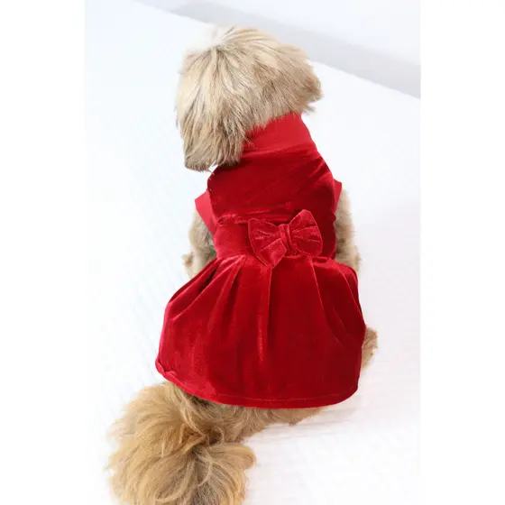 Vestido Pet Veludo Luxo Realeza Vermelho e Salmão