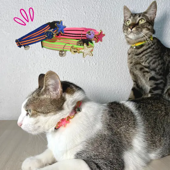 Coleiras para Gatos Luxo - Unidade ou Cartela com 10 (Cores e estampas Sortidas)
