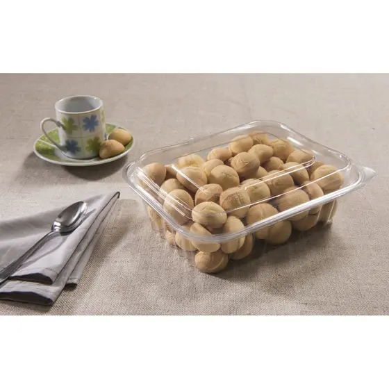 10 embalagem Pote Retangular C/ Tampa Articulada 800ml -pet G721 brigadeiros, doces, salgados, sobremesas