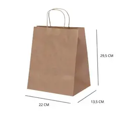 10~50 SACOLA KRAFT  22 X 13,5 X 29,5 -(LC)  REF5812
