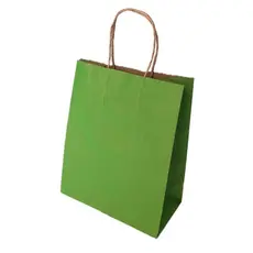 10~50 SACOLA  DE PAPEL VERDE LIMÃO 21,5X17,5X8,5 (LC) REF:5005