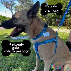 Coleira para cachorro Peitoral Ajustável Para Cachorro Porte Médio Peso 7kg a 15kg