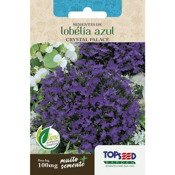 Sementes de Lobélia Azul 100mg Topseed Flor Ornamental para Jardim Vaso Varanda Atrai Abelhas Jataí