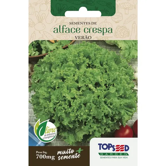 Semente de Alface Crespa Verão 700mg Saborosa Saladas Horta