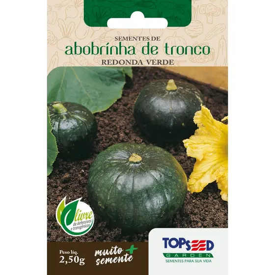 Sementes Abobrinha Redonda de Tronco Verde 2,50 gramas Saborosa Cozinha Salada