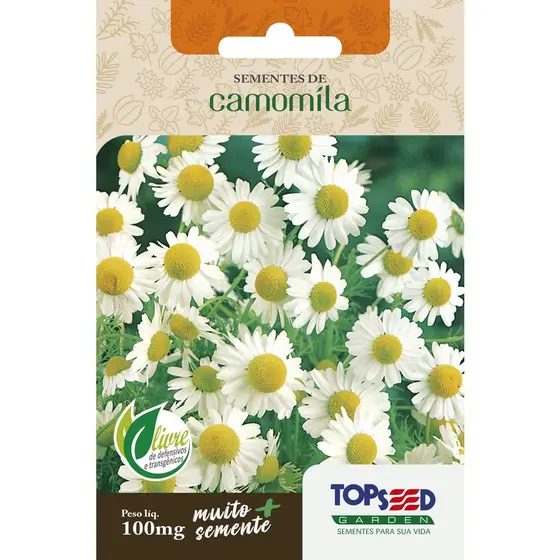 Sementes de Camomila 100mg Ervas Chá Calmante Flores Vasos Horta
