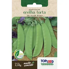 Sementes de Ervilha Torta de Flor Roxa Saladas Hortas