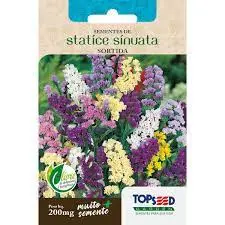 Sementes de Statice Sinuata Sortida 200mg Flores Jardins Vasos
