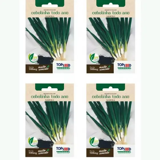 Kit 4 Envelopes de Sementes de Cebolinha Todo Ano Nebuka Topseed 500mg Horta Vaso Temperos e Culinária