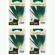Kit 4 Envelopes de Sementes de Cebolinha Todo Ano Nebuka Topseed 500mg Horta Vaso Temperos e Culinária