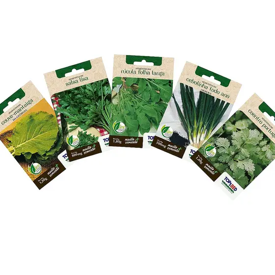 Minha Horta Kit Semente Cebolinha Coentro Couve Rúcula Salsa Lisa Tempero Primeira Horta Topseed