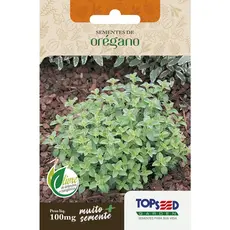 Sementes de Orégano Topseed 100mg para Plantio em Horta e Vaso Tempero Erva Aromática