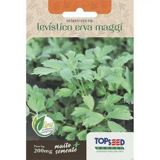 Sementes de Levístico Erva Maggi 200mg Top Seed Caldo de Galinha Hortaliças Tempero Cozinha