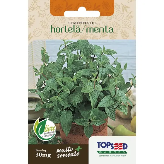 Sementes de Hortelã Menta Topseed para Plantio em Horta e Vaso Erva Aromática Tempero Chá