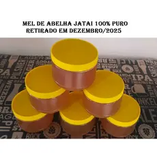 Mel De Abelhas Jataí 300gr 100% puro da Nossa Família Para A Sua