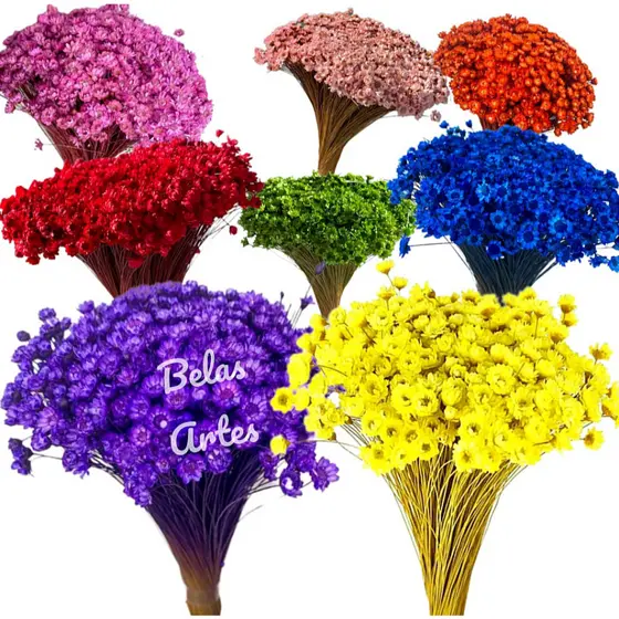 300 Sempre Viva Florzinhas Mosquitinho Buquê Flores