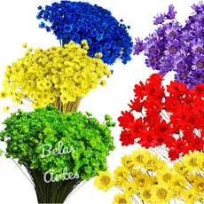 300 Florzinhas Sempre Viva Mosquitinho