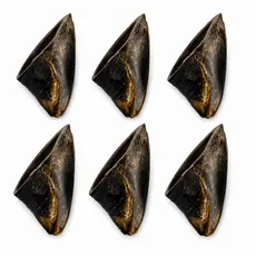 Kit Cascos Bovino Petisco 100% Natural Premium Para Cães Cachorros Mordedor