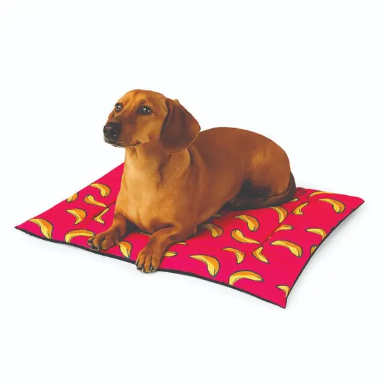 Cama para cachorro e gato Porte Pequeno até 7 kg 45 x 65 Colchonete  Casinha e Caixa de Transporte