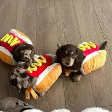 Engraçado Trajes De Cachorro De Halloween Em Forma-Quente Salsicha De Dachshund Roupas Ajustáveis Vestuário Para Animais