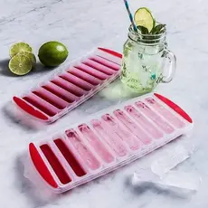Forma de Gelo com 10 Cavidades Retangular de Silicone e Plástico - TOP