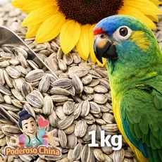 Girassol Graúdo à Granel 1kg - Sementes Naturais para Seu Pet