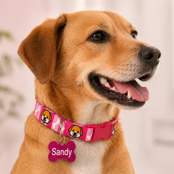 Coleira Para Cachorro Regulável com Pingente de Osso Pet Luxo Passeios Cães - Linha Aumigos Personalizados