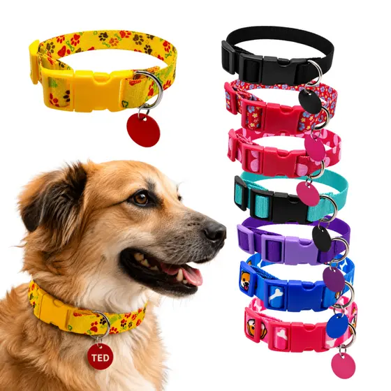 Coleira Para Cachorro Plaquinha de Identificação Luxo Passeios Cães Personalizado Nome do Pet