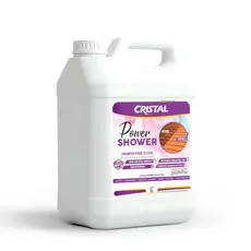 Limpa Telhas Calçadas Muros Sem Água Galão 5l Power Shower - Cristal
